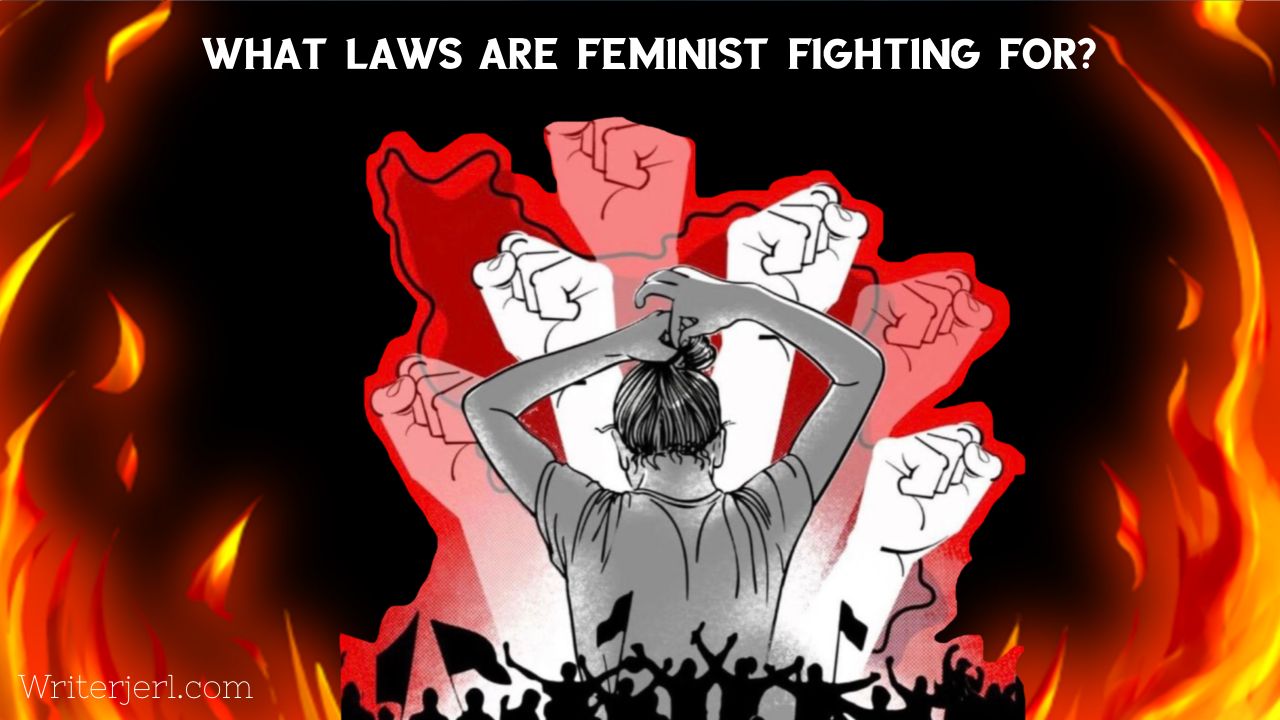 what laws are feminist fighting for